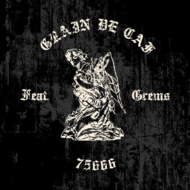 75666 cover
