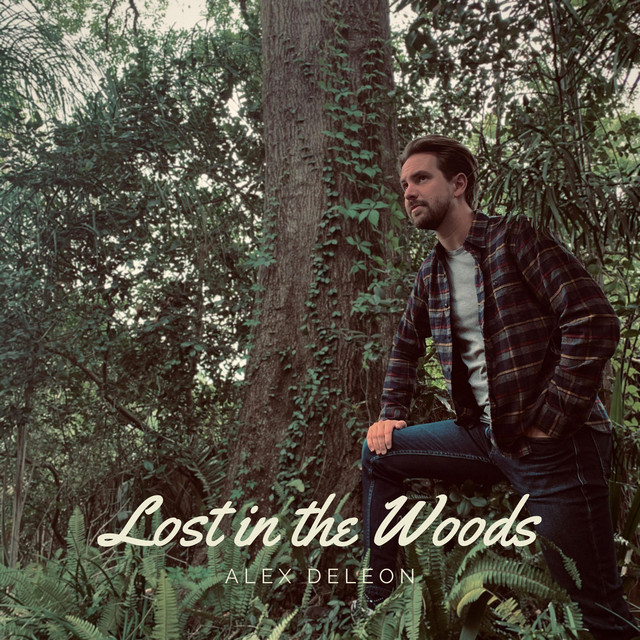 Lost in the Woods