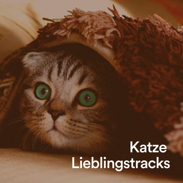 Katze Lieblingstracks cover art