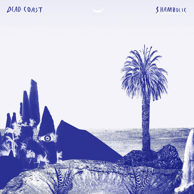 Shambolic cover