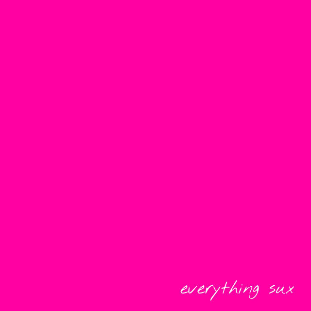 Everything Sux cover