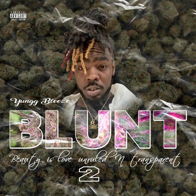 B.L.U.N.T., Vol. 2 "Beauty Is Loved Unruled N' Transparent"