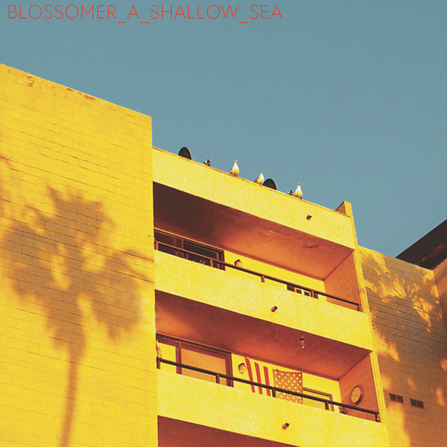 A_Shallow_Sea cover