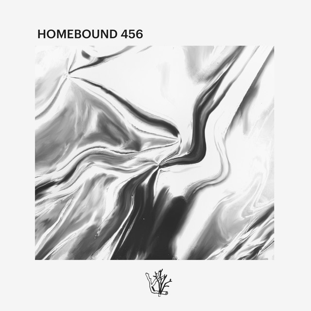 Homebound 456 cover art
