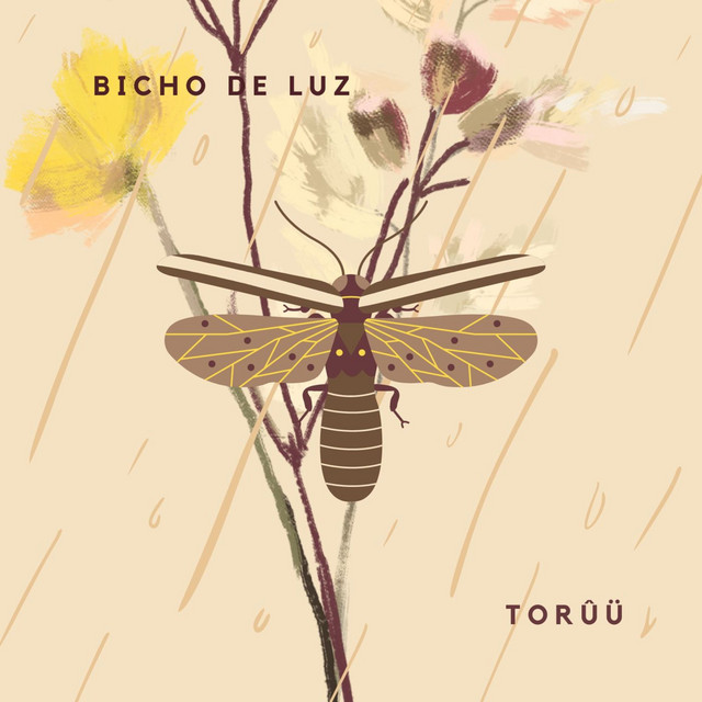 Bicho de Luz Single by Torûü Spotify
