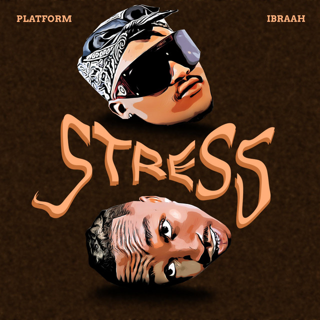 Stress cover art