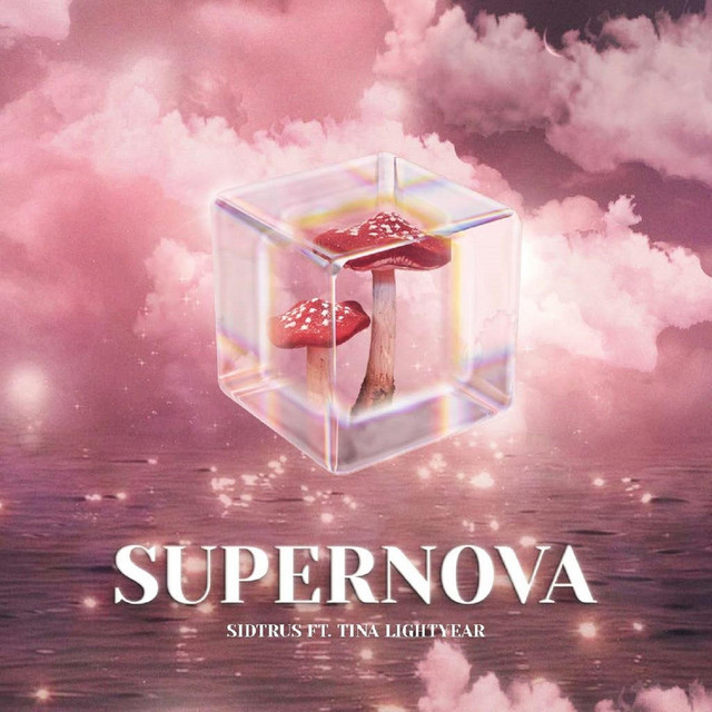 Supernova cover art