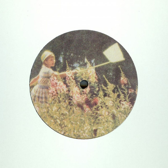 Honey Falls cover