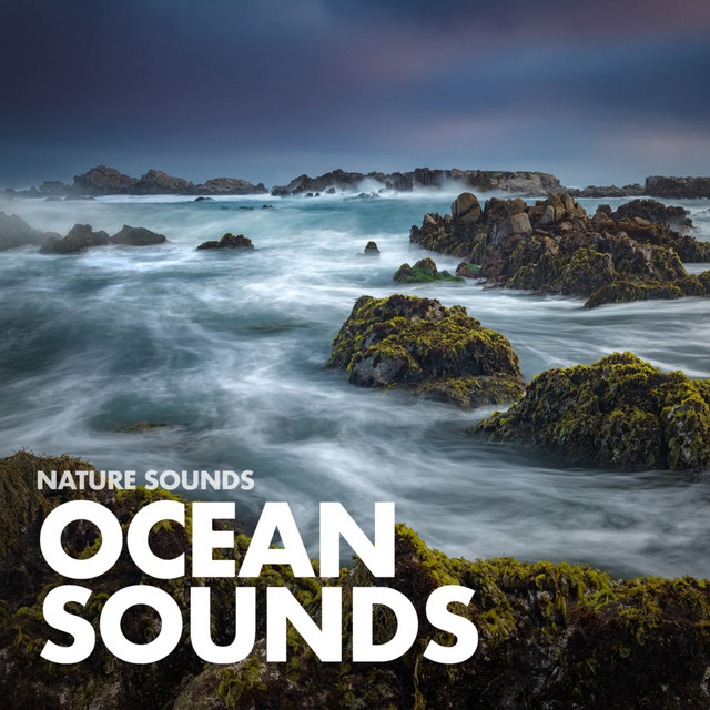 Ocean Sounds cover art