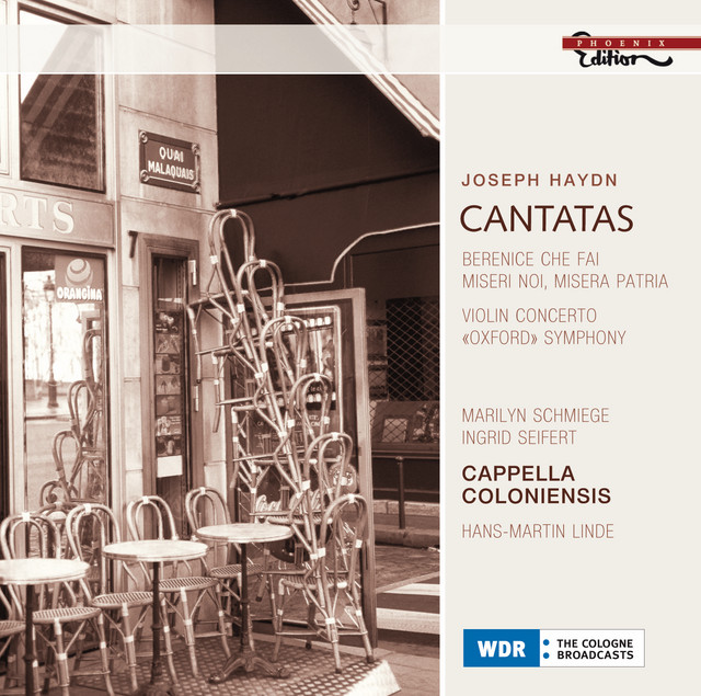 Violin Concerto in G Major, Hob. VIIa:4: I. Allegro moderato