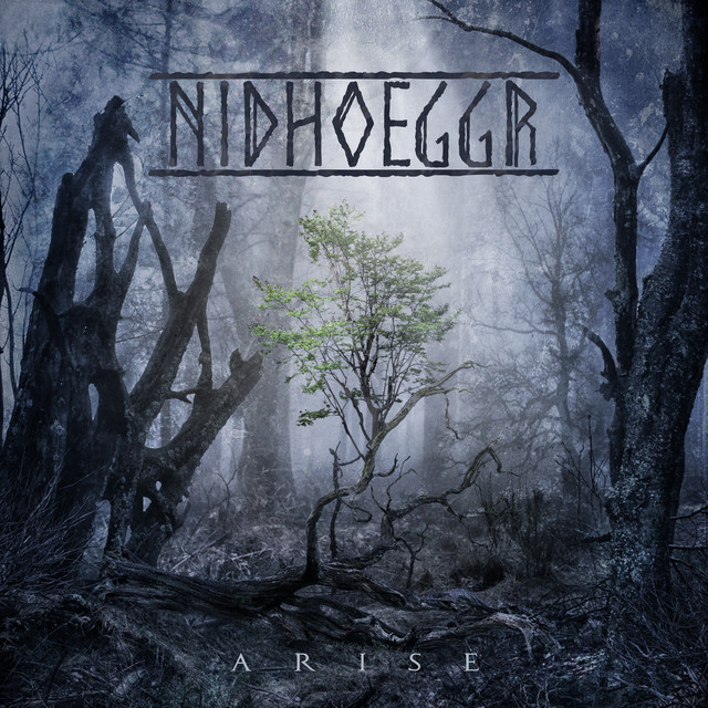 Arise cover