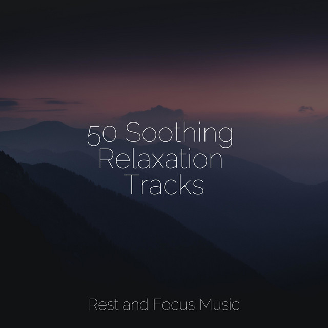50 Soothing Relaxation Tracks - Album by Study Music & Sounds | Spotify