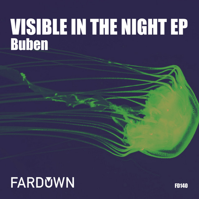 Visible In The Night EP cover art