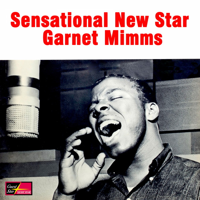 Sensational New Star cover art