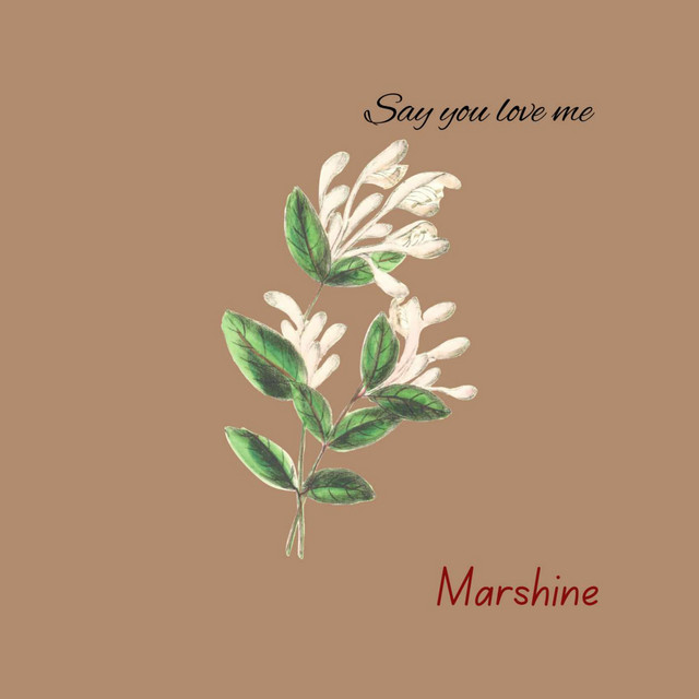 Say you love me cover art