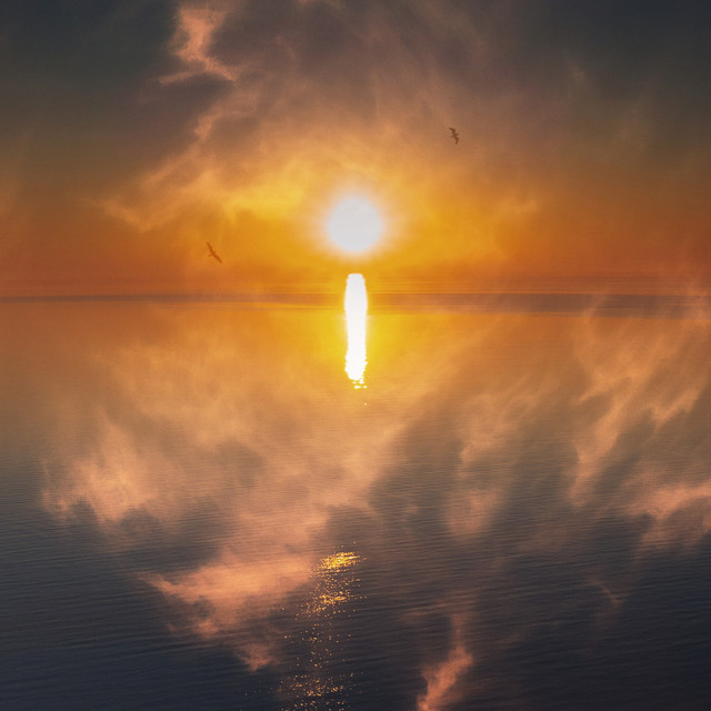 universal hum cover art