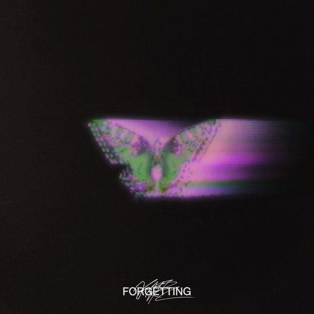 Forgetting