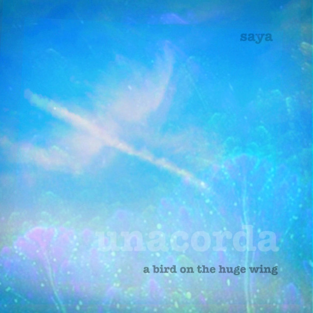 a bird on the huge wing cover art