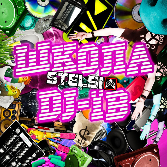 Обкладинка: Школа DJ-їв — Stelsi