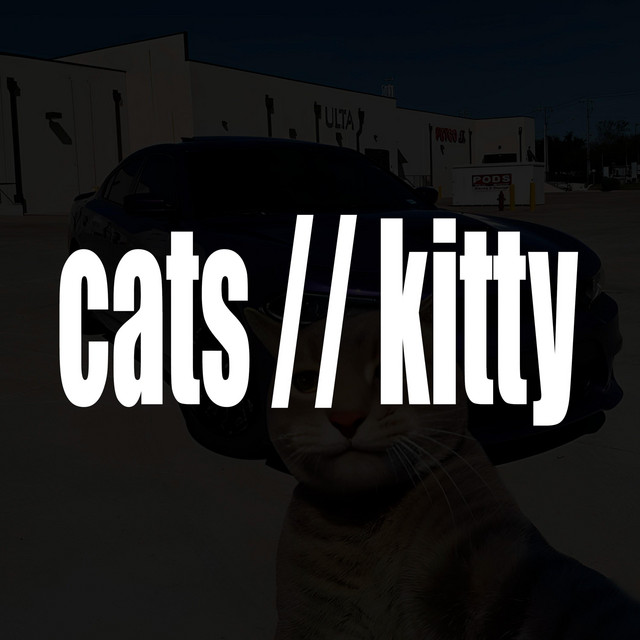 cats // kitty cover art
