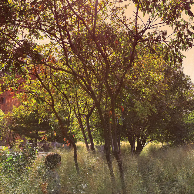 Tint cover art