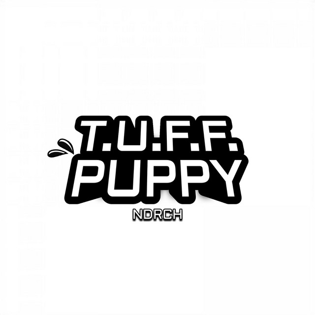 Обкладинка: T.U.F.F. Puppy — NDRCH