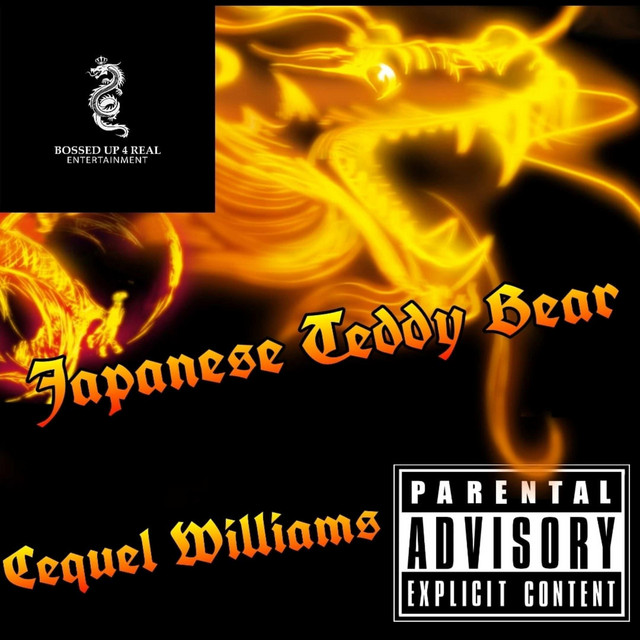 Japanese Teddy Bear
