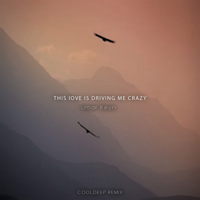 This Love Is Driving Me Crazy (Cooldeep Remix) - song and lyrics
