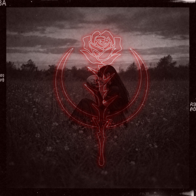 You cover art