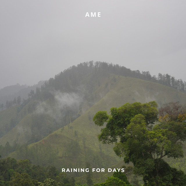 raining for days cover art