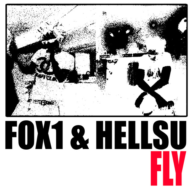 fly