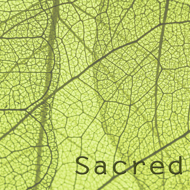 Sacred cover art