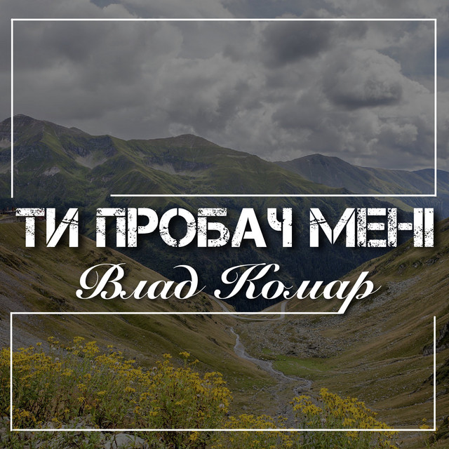 Обкладинка: Ти пробач мені — Влад Комар