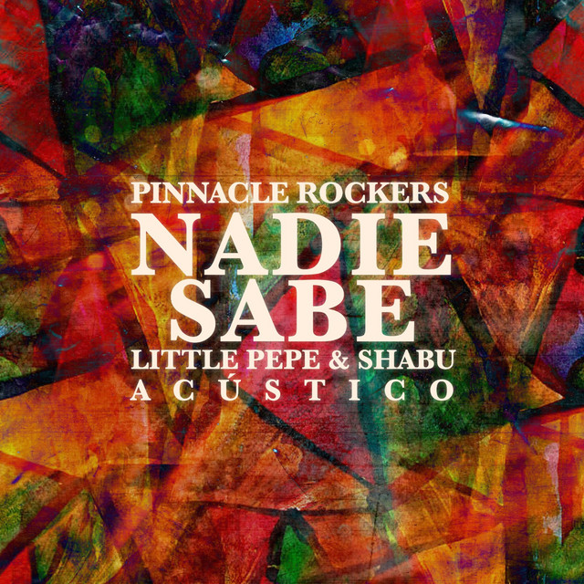 Nadie Sabe (Acústica) cover