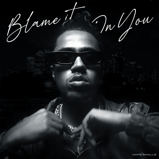 Blame It On You cover art