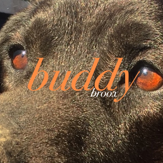 Buddy cover art