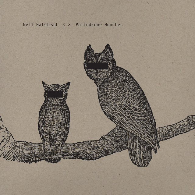 Palindrome Hunches cover art