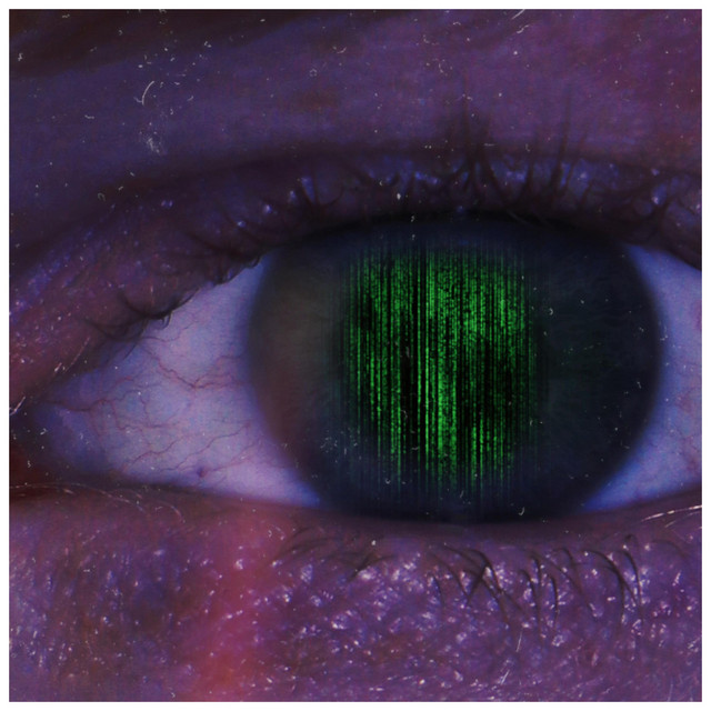 FEHLER IN DER MATRIX cover art
