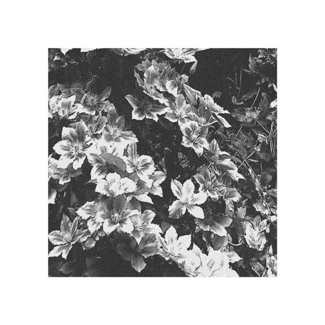 Good in This World cover