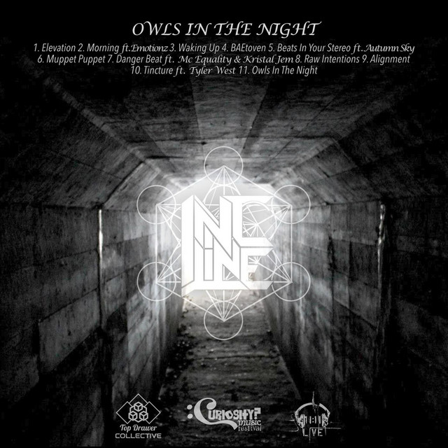 Owl's in the Night cover art