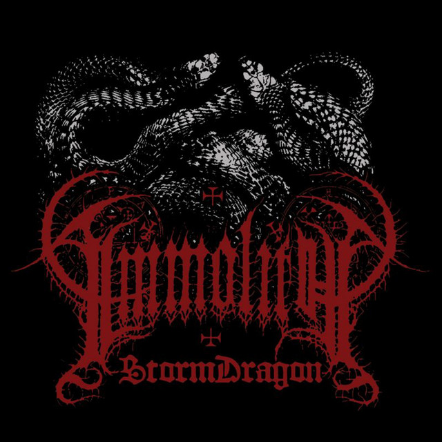 Storm Dragon cover art
