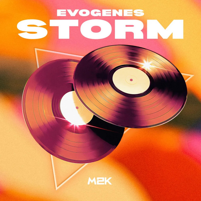 Storm cover art