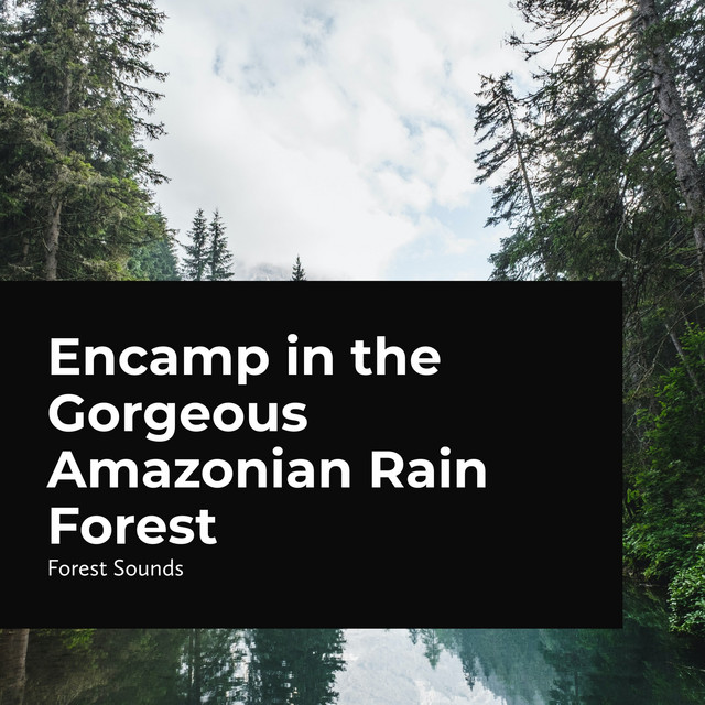 Encamp in the Gorgeous Amazonian Rain Forest cover art