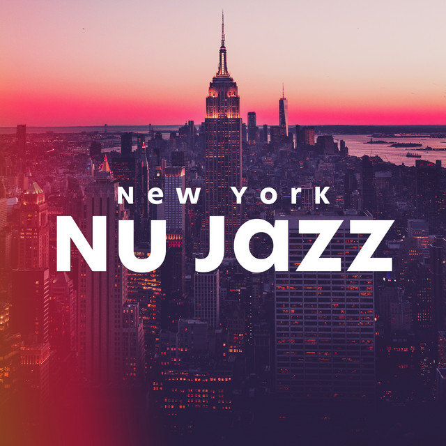 ! ! ! New York Nu Jazz ! ! ! cover art