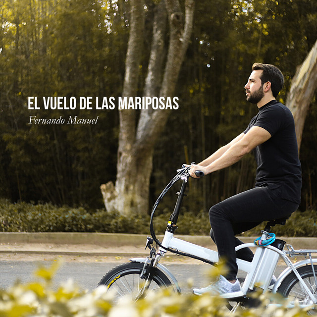 El vuelo de las mariposas cover art