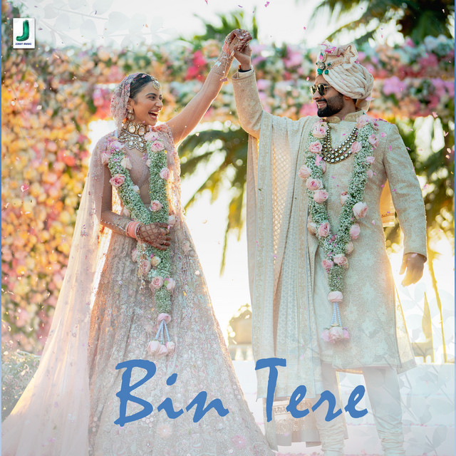 Bin Tere album image