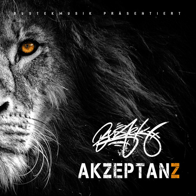 Akzeptanz cover