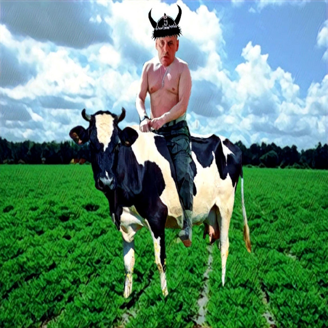 Content King 2.0 cover art
