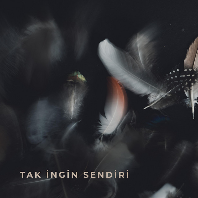 Tak Ingin Sendiri cover art
