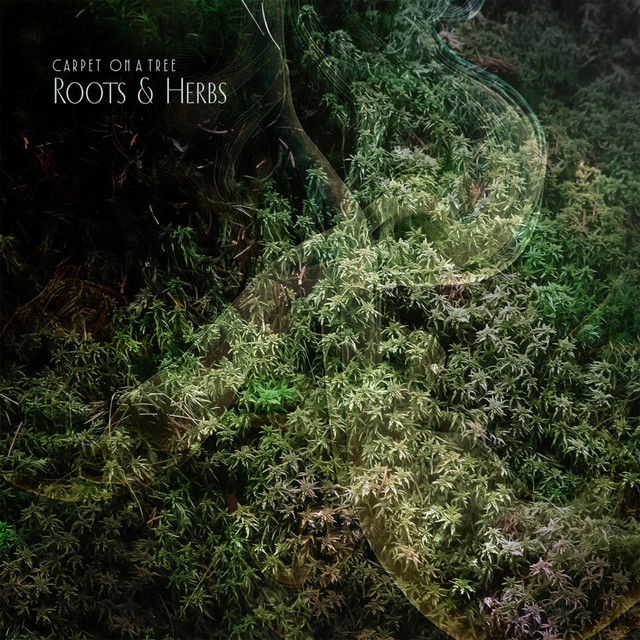 Roots & Herbs